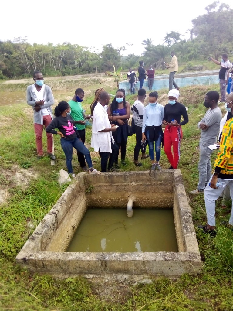Article : Mon s&eacute;jour particulier &agrave; Krindjabo
